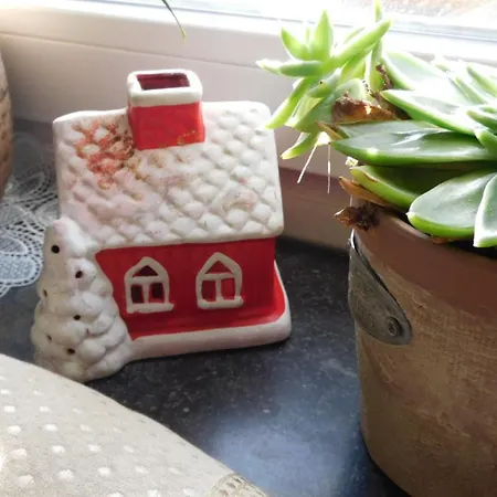Fewo Majo - Rustikal & Entspannt Perfekt Fuer Arbeit Oder Auszeit Apartment Solingen