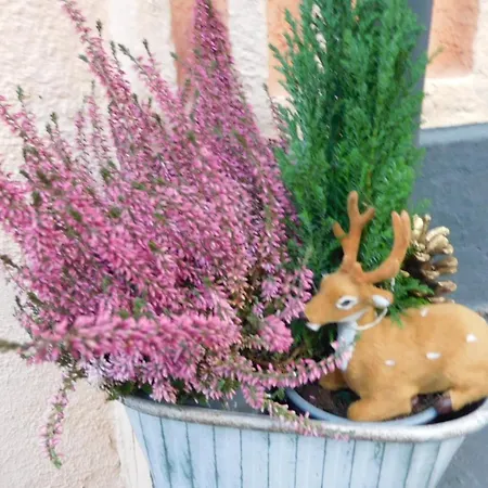 Majo - Rustikal & Entspannt Perfekt Fuer Arbeit Oder Auszeit Solingen