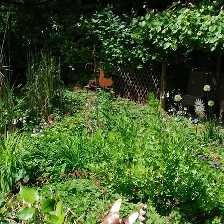 Majo - Rustikal & Entspannt Perfekt Fuer Arbeit Oder Auszeit ゾーリンゲン