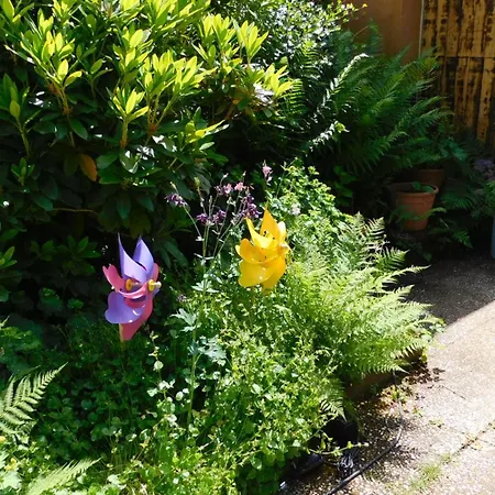 アパート Majo - Rustikal & Entspannt Perfekt Fuer Arbeit Oder Auszeit