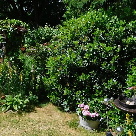 Majo - Rustikal & Entspannt Perfekt Fuer Arbeit Oder Auszeit *