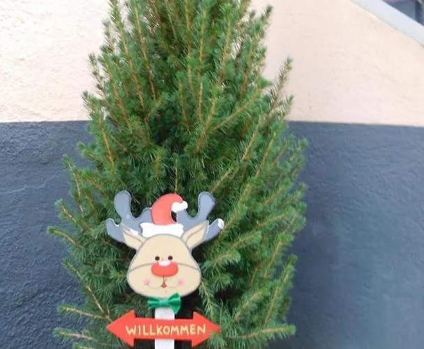 Majo - Rustikal & Entspannt Perfekt Fuer Arbeit Oder Auszeit * Solingen