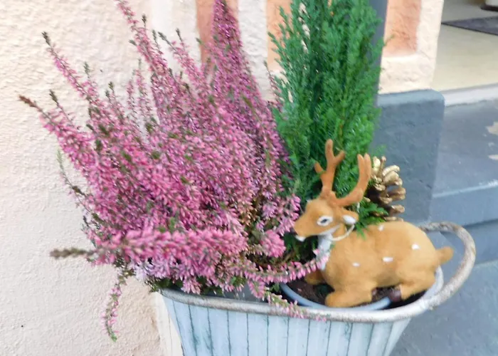 Majo - Rustikal & Entspannt Perfekt Fuer Arbeit Oder Auszeit Solingen