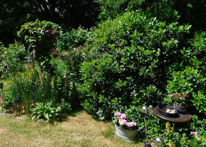 Majo - Rustikal & Entspannt Perfekt Fuer Arbeit Oder Auszeit *